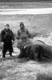 Moose Hunt 38G.JPG